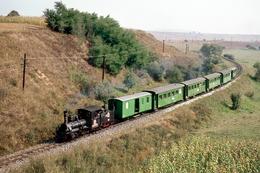 Schmalspurbahn Sibiu-Agnita: 389.001 mit Personenzug 2273 zwischen Cornățel und Cașolț 5.9.1967 © Alfred Luft