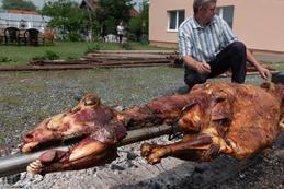 Bosnisches Festessen: Schaf am Spiess, auf dem offenen Feuer gebraten