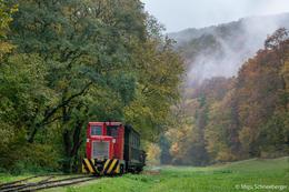 Eine rote C50 Diesellok mit gemischtem Zug auf der Waldbahn Felsötàrkàny bei Eger 25.10.2023 © Migu Schneeberger